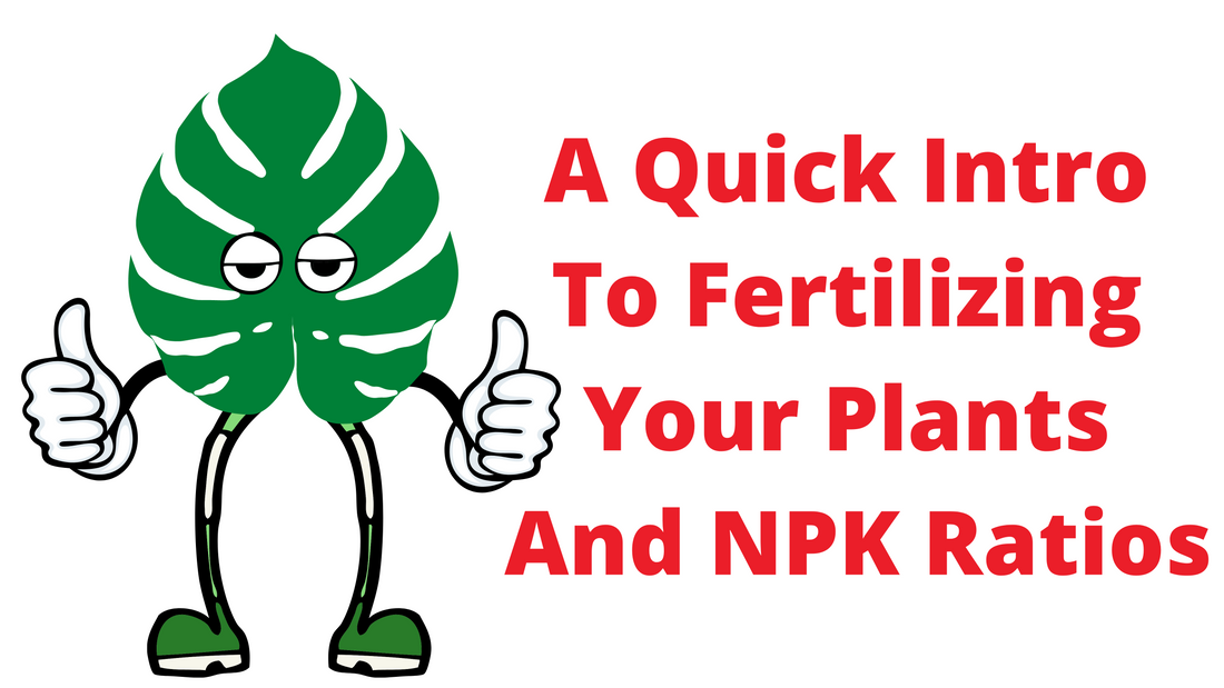 An Introduction To Fertilization, Plant Nutrition, And NPK Ratios