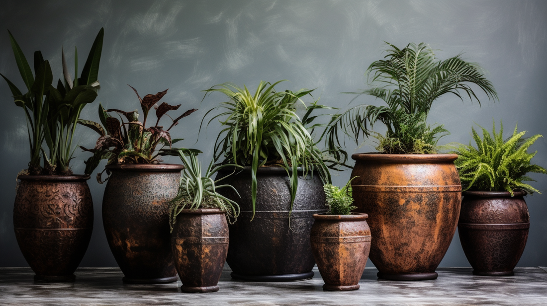 A Guide To Choosing The Right Pot Size For Your Plants